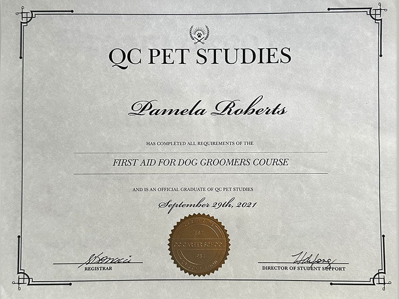 qc pet studies