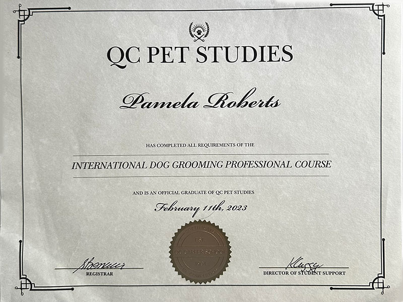 qc pet studies pro